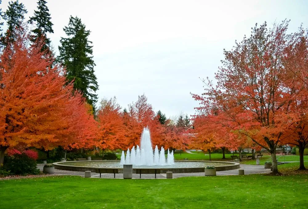 Redmond scenery