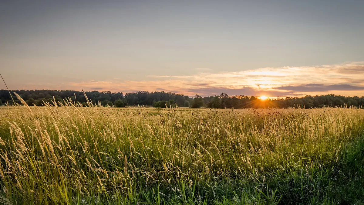 Ridgefield scenery