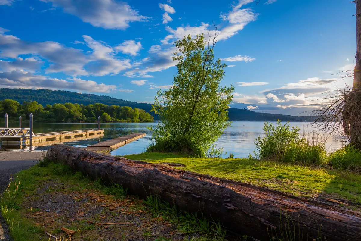 Sammamish scenery