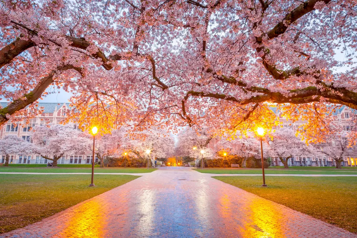 Seattle scenery