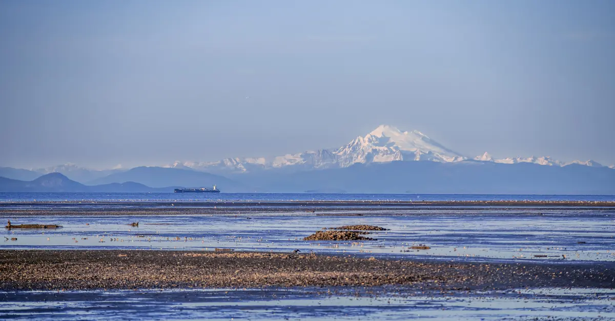 Sequim scenery
