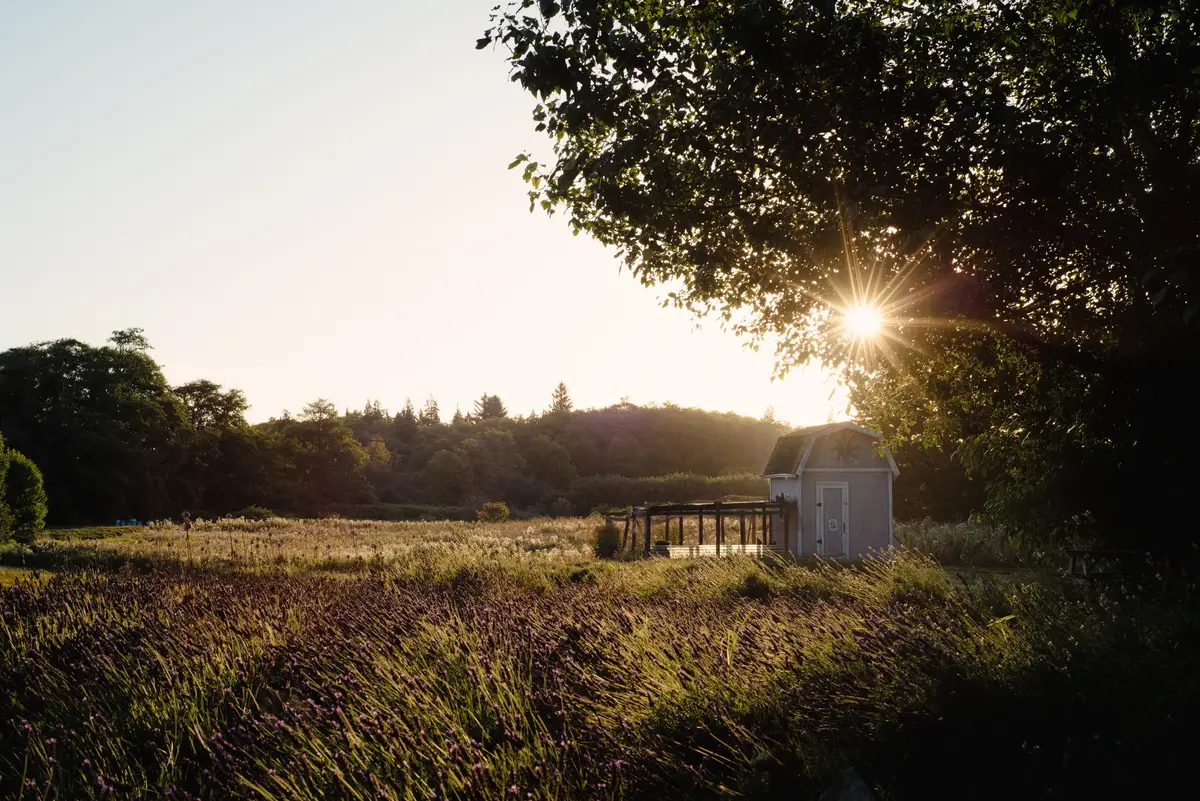 Sequim