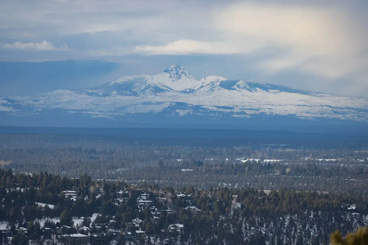 Shelton neighborhood