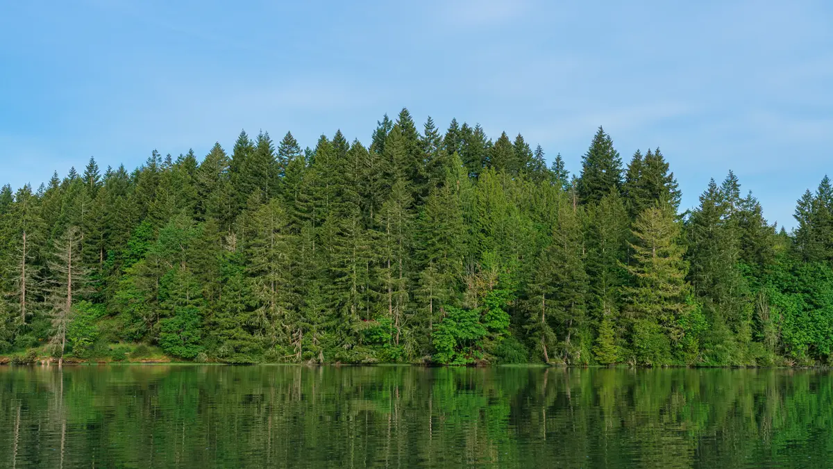 Shelton