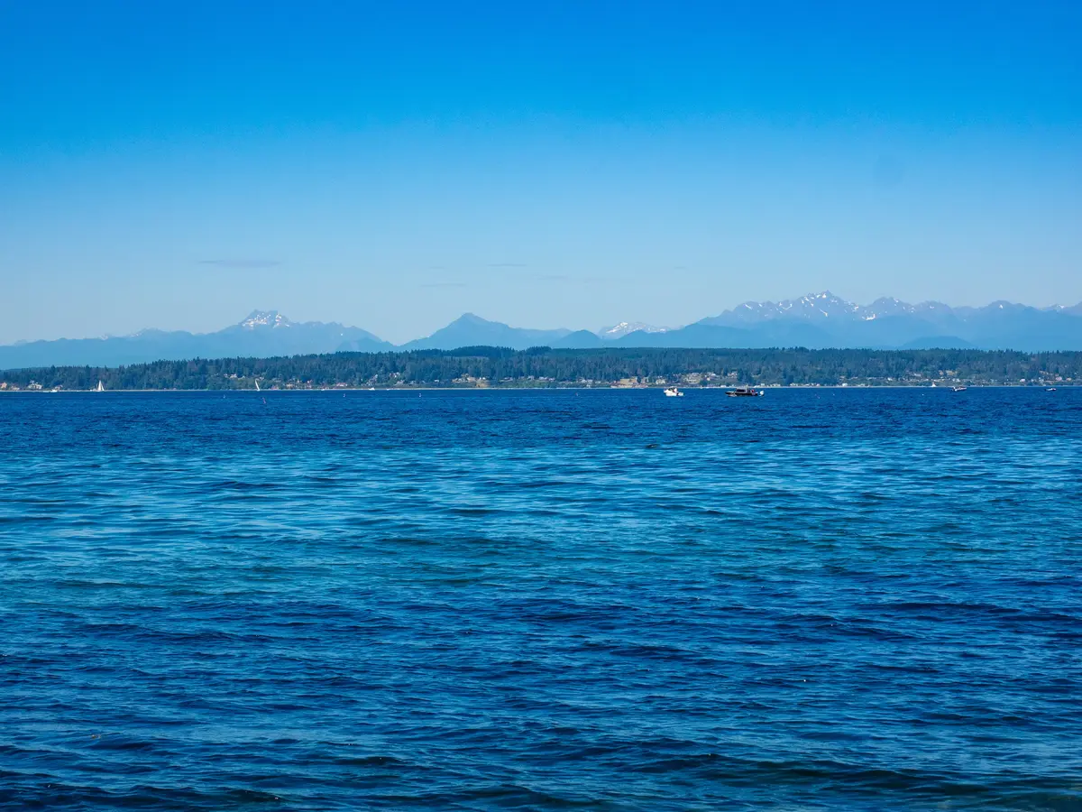 Shoreline
