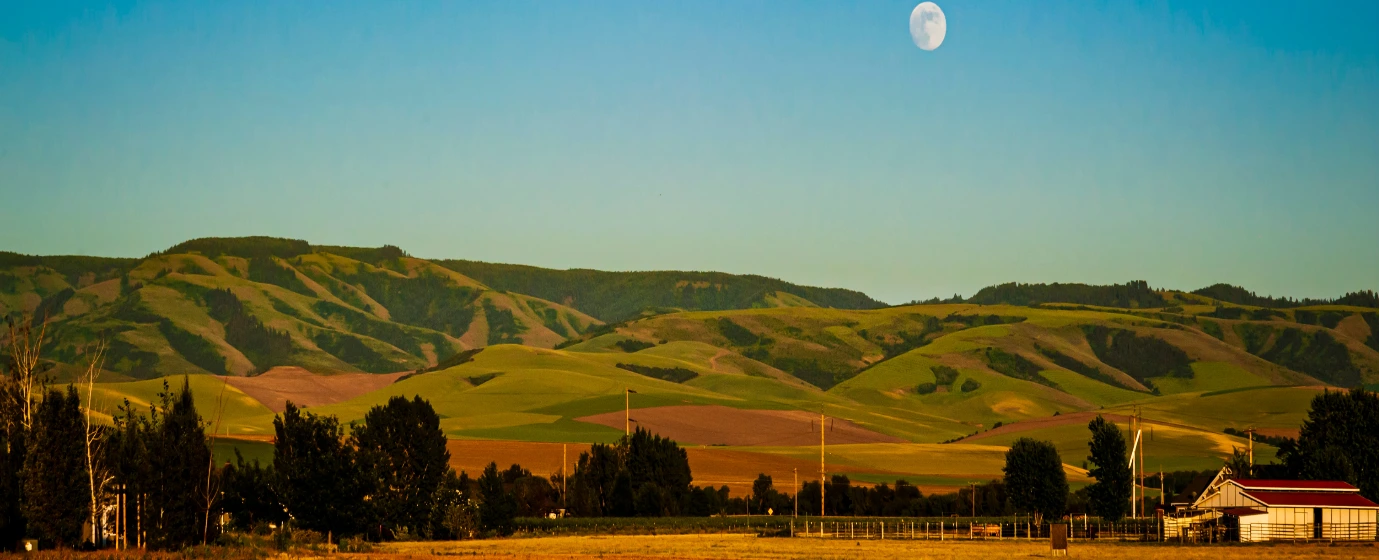 Living in Southeast Washington — Everything You Need to Know