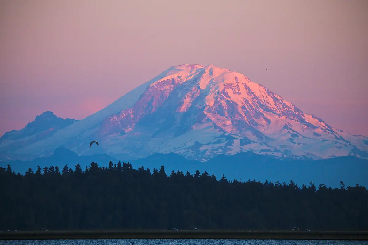 Sumner neighborhood