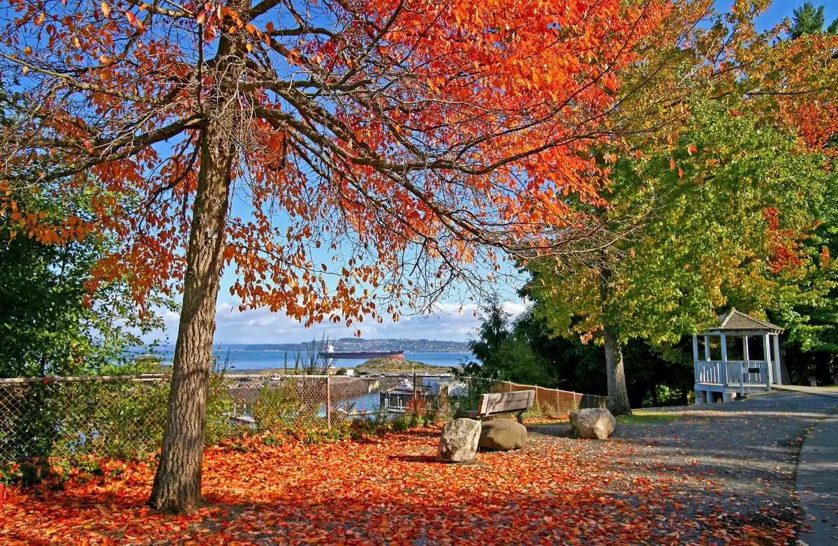 Tacoma scenery