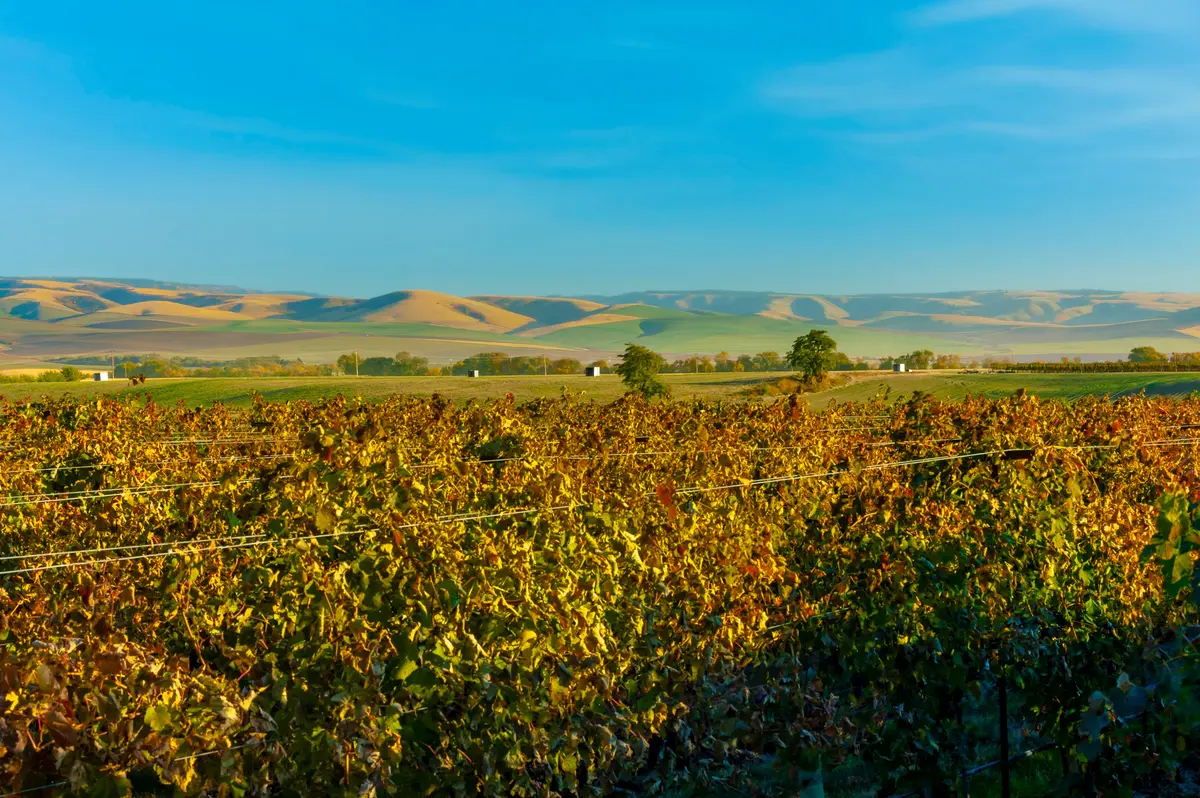 Walla Walla neighborhood