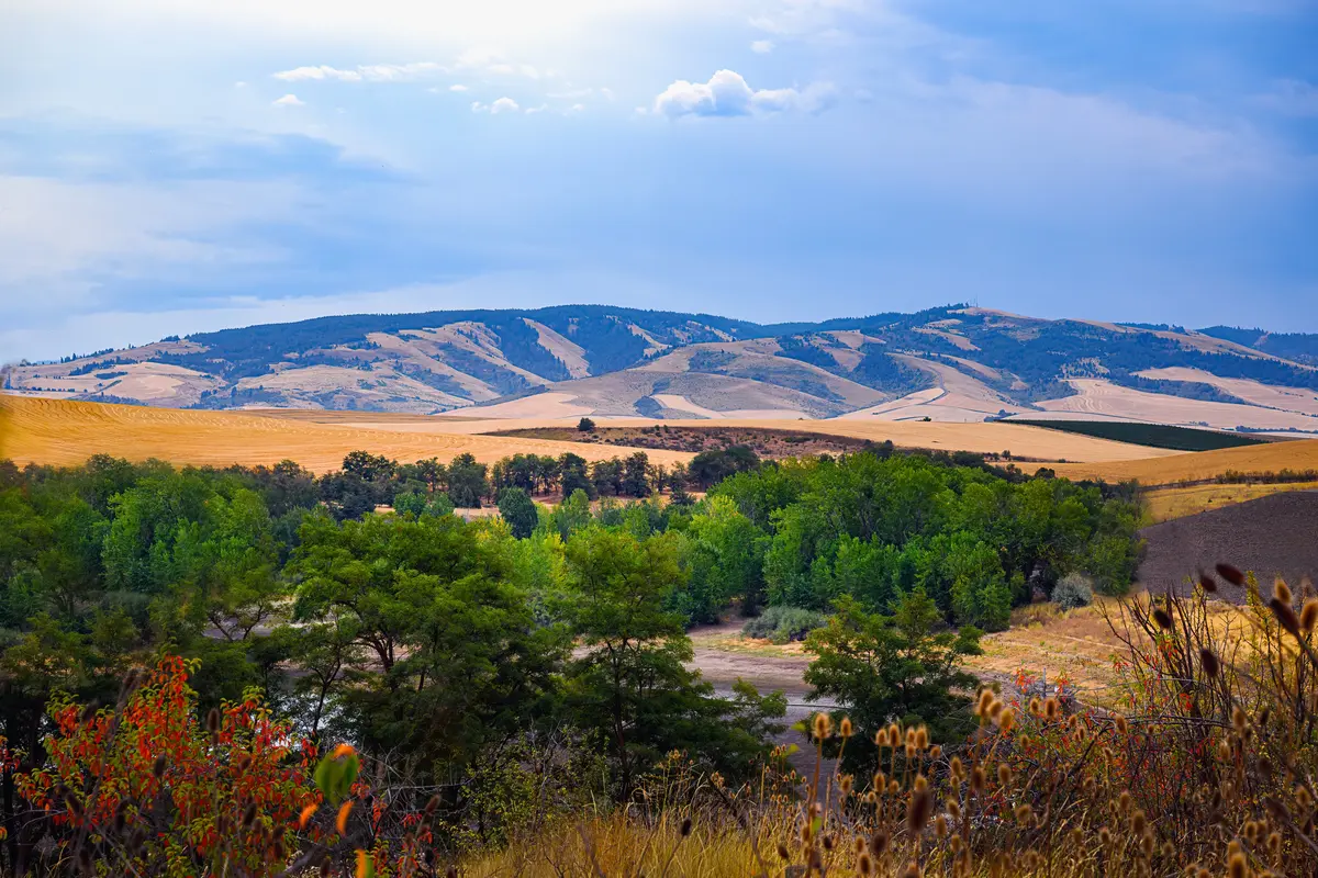 Walla Walla scenery