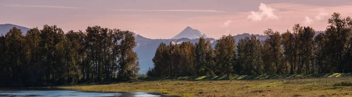 Washougal neighborhood