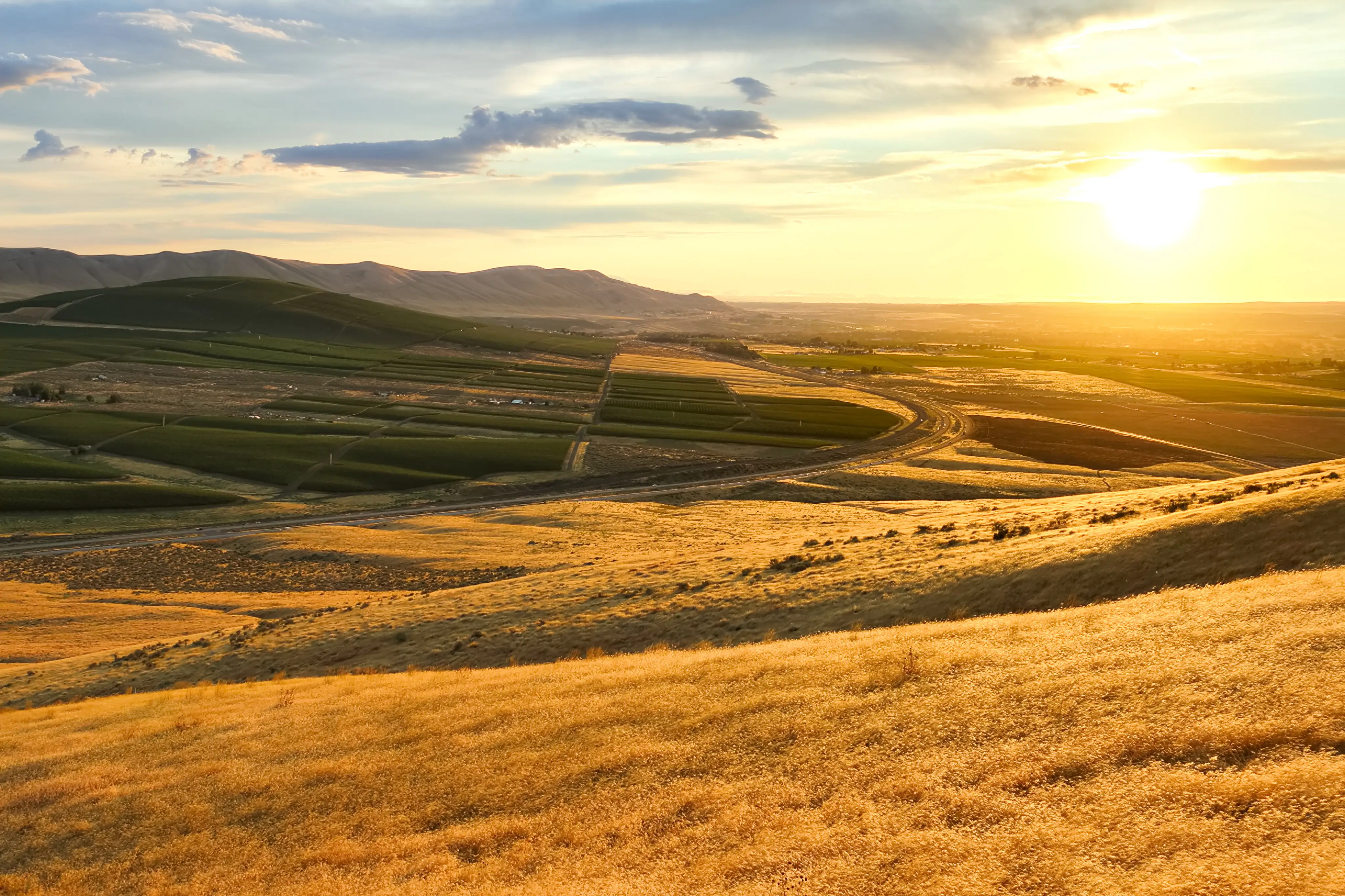 West Richland scenery