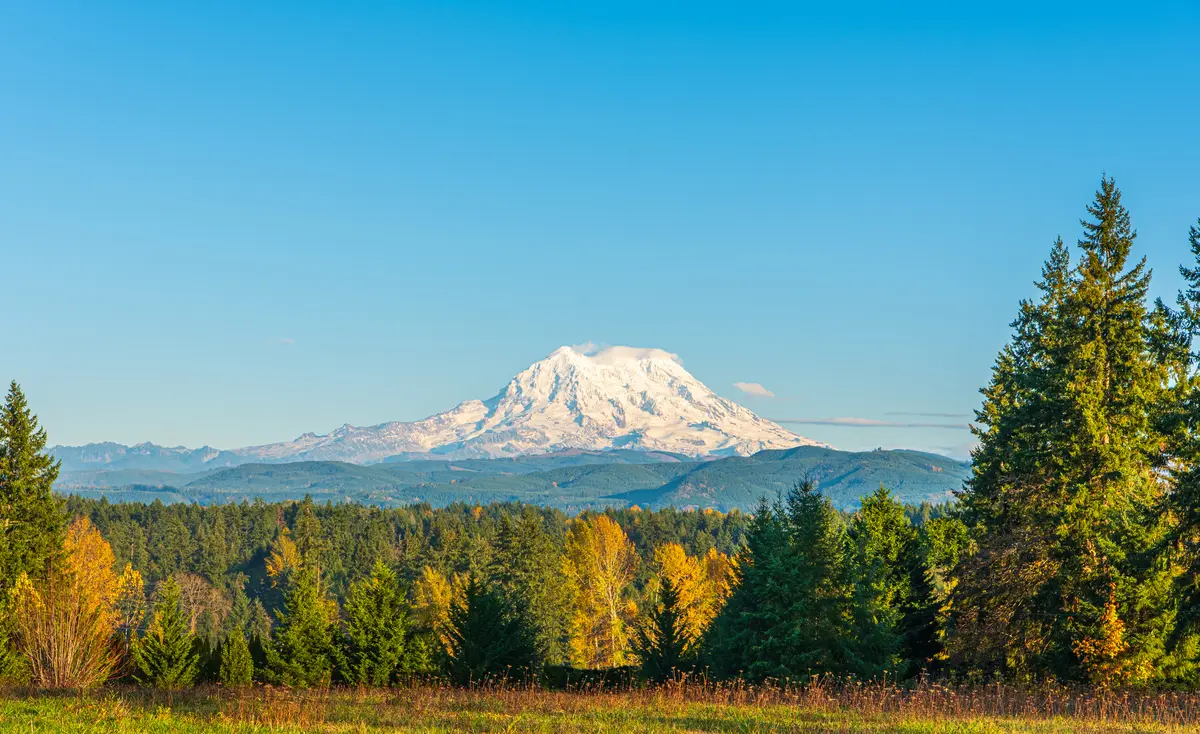 Yelm neighborhood