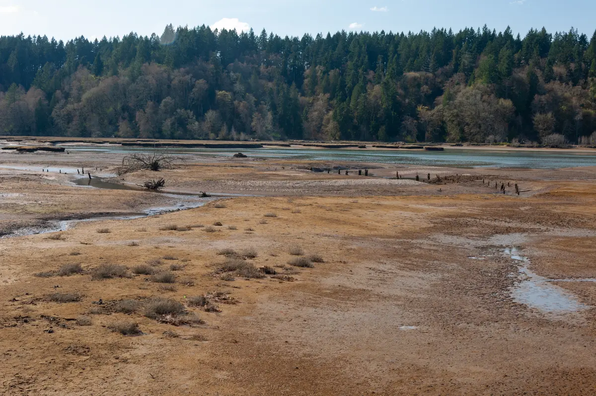 Yelm scenery